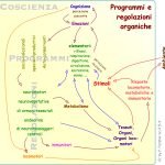 Metamedicina o medicina psicosomatica