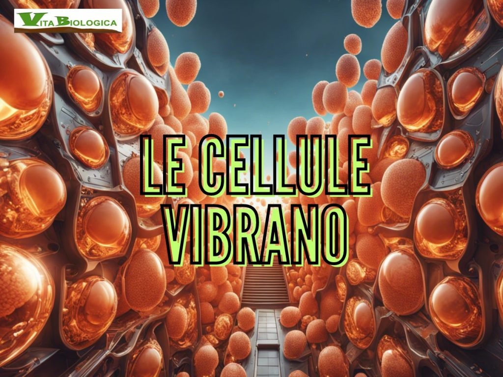 le cellule vibrano - vitabiologica.it